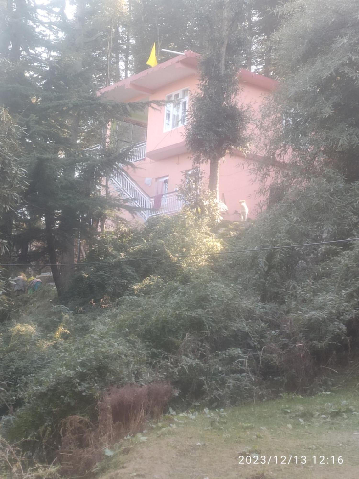 Tree Valley Homestay 柴尔 外观 照片
