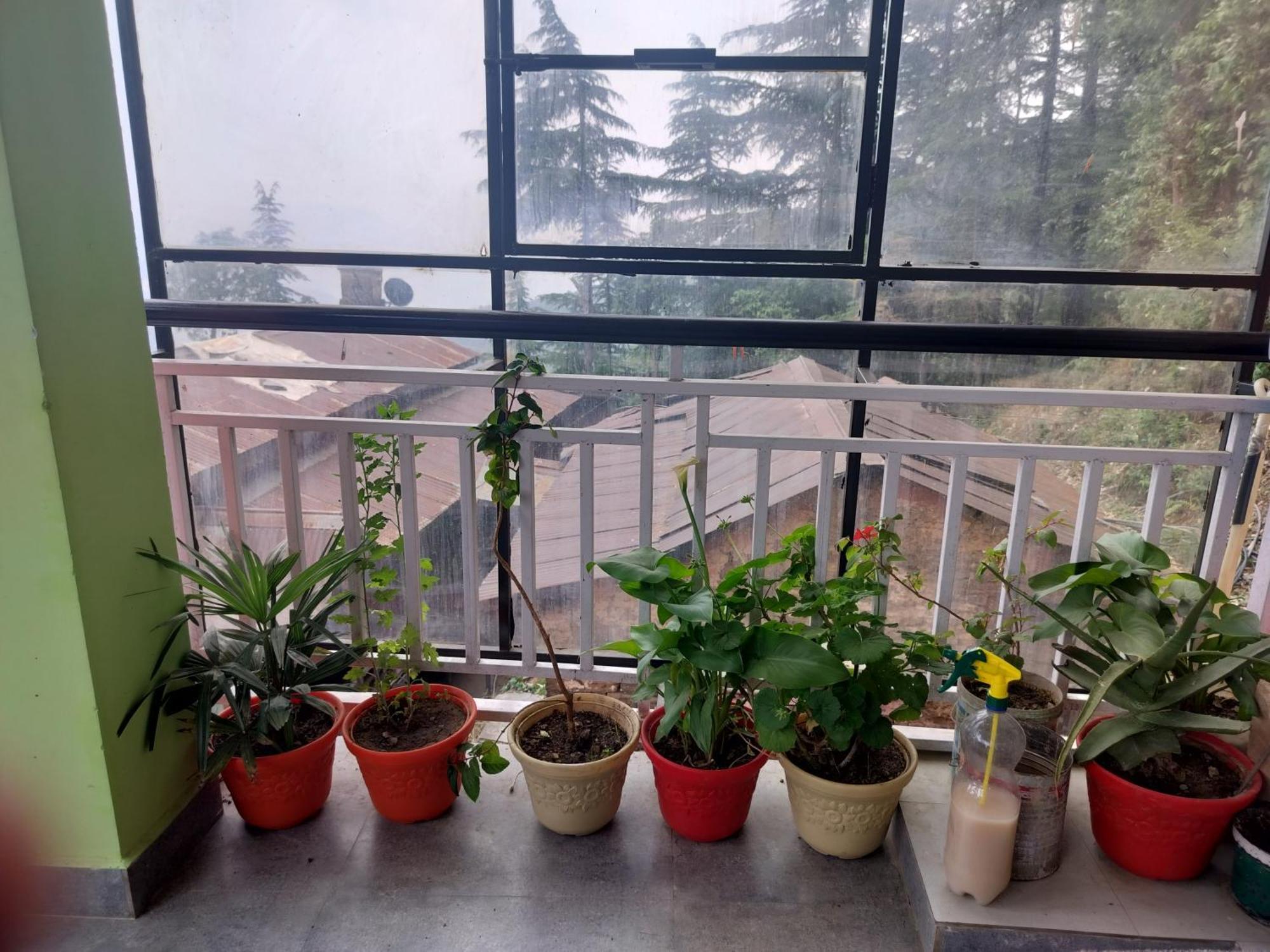 Tree Valley Homestay 柴尔 外观 照片