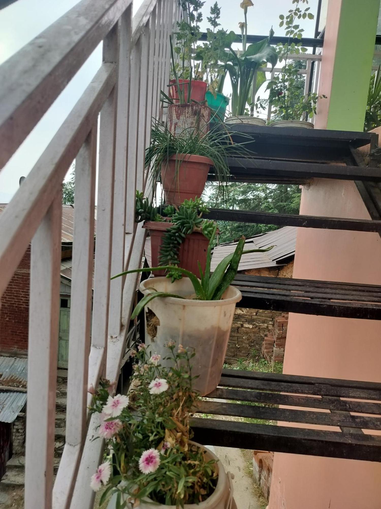 Tree Valley Homestay 柴尔 外观 照片