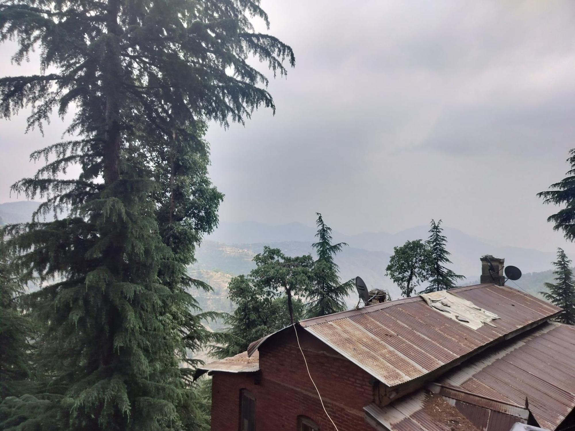 Tree Valley Homestay 柴尔 外观 照片