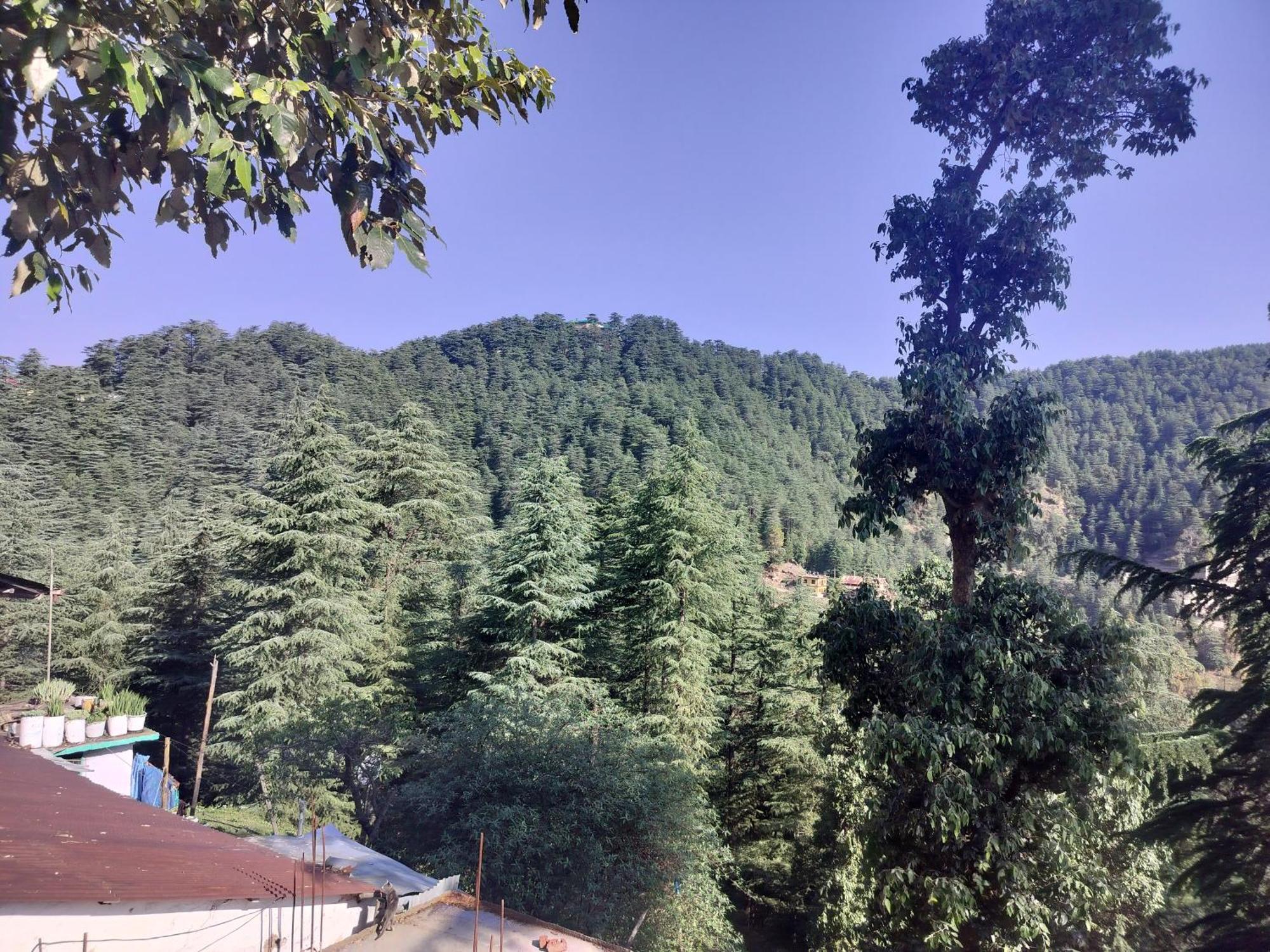 Tree Valley Homestay 柴尔 外观 照片