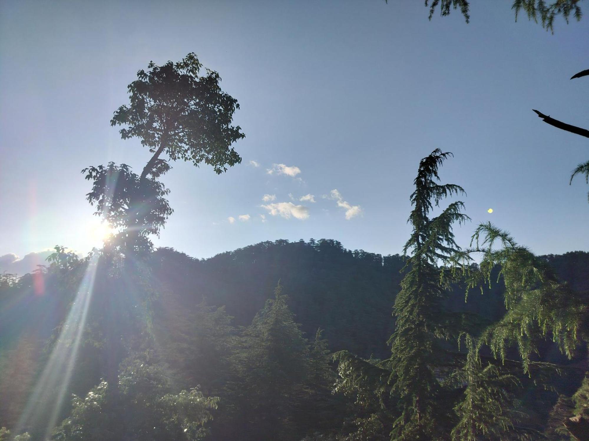 Tree Valley Homestay 柴尔 外观 照片