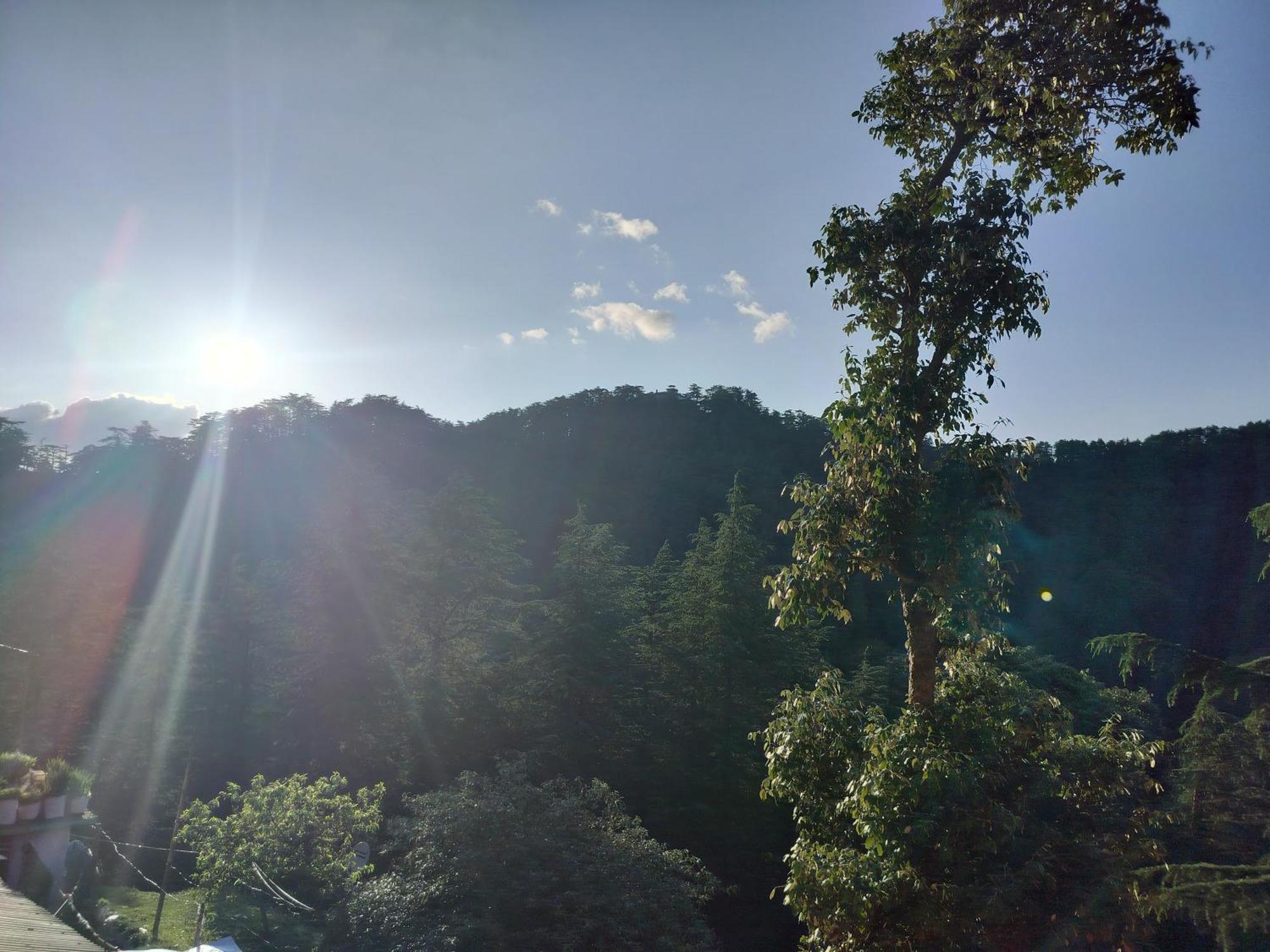Tree Valley Homestay 柴尔 外观 照片