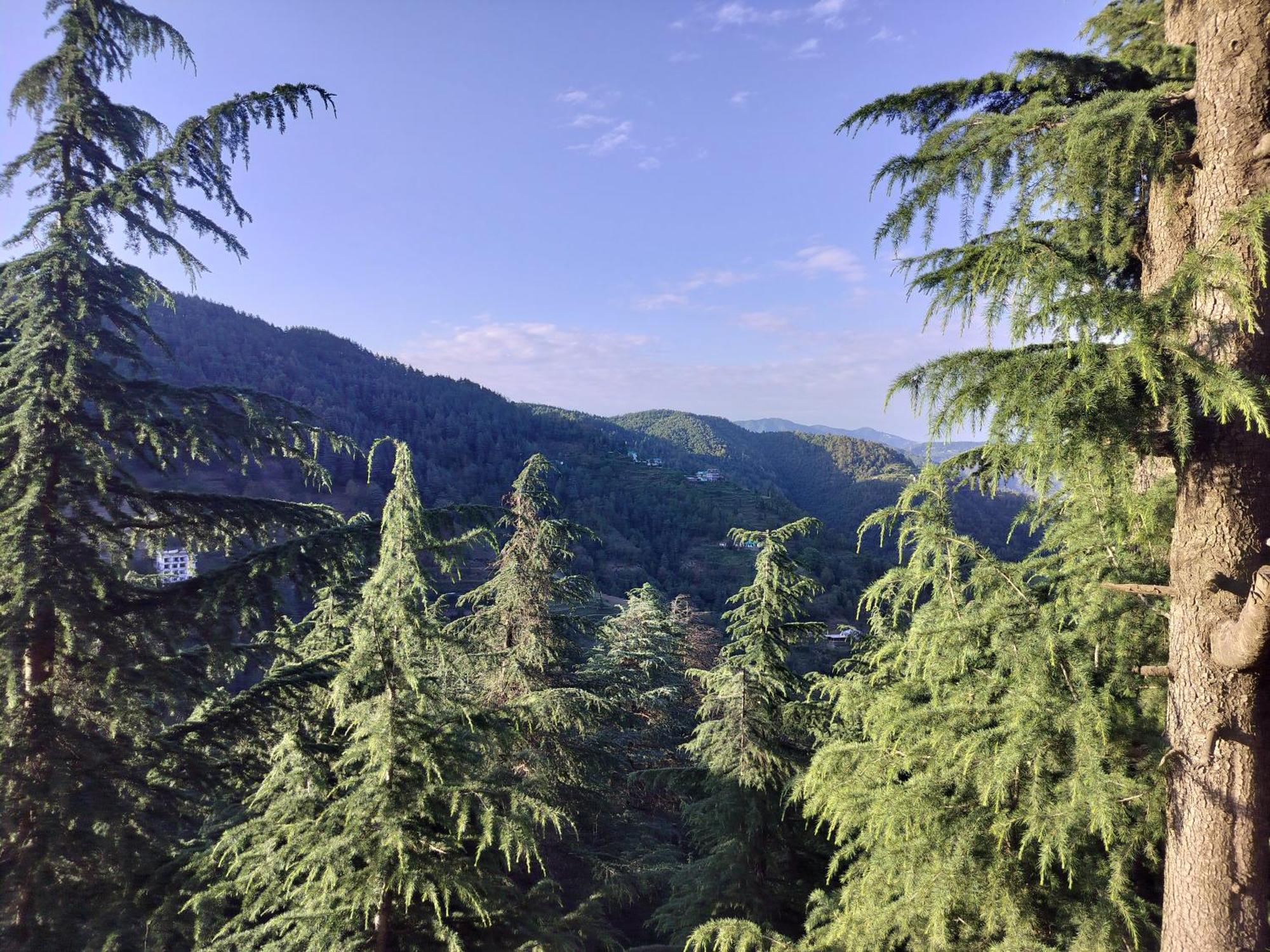 Tree Valley Homestay 柴尔 外观 照片